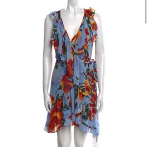 Misa Los Angeles Blue and Red Floral Mini Dress